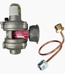 REGULADOR GAS  (RG02SA)  6 M Y FLEXIBLE SALUSTRI