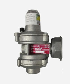 REGULADOR GAS  (RG01SA)  6 M SALUSTRI